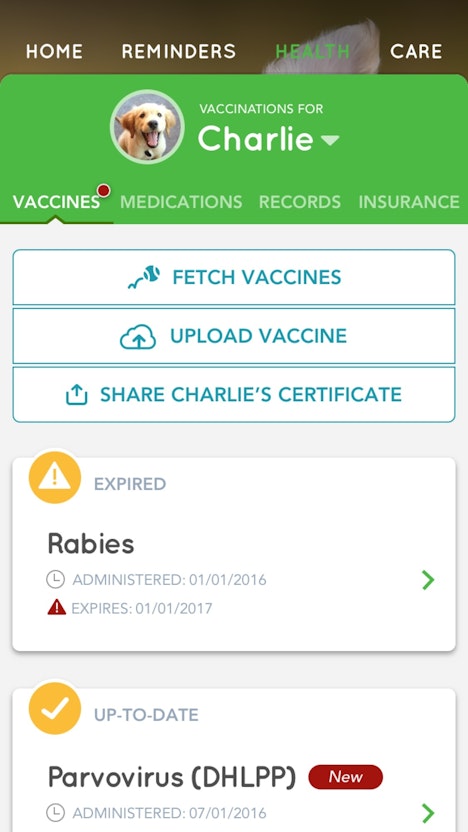 Buddy Screen Vaccine